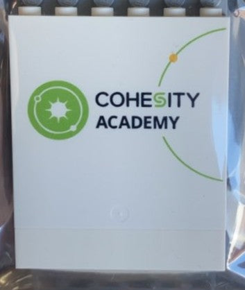 Cohesity LEGO Figure 2